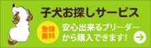 【登録無料】子犬お探しサービス～安心できるブリーダーから購入できます！