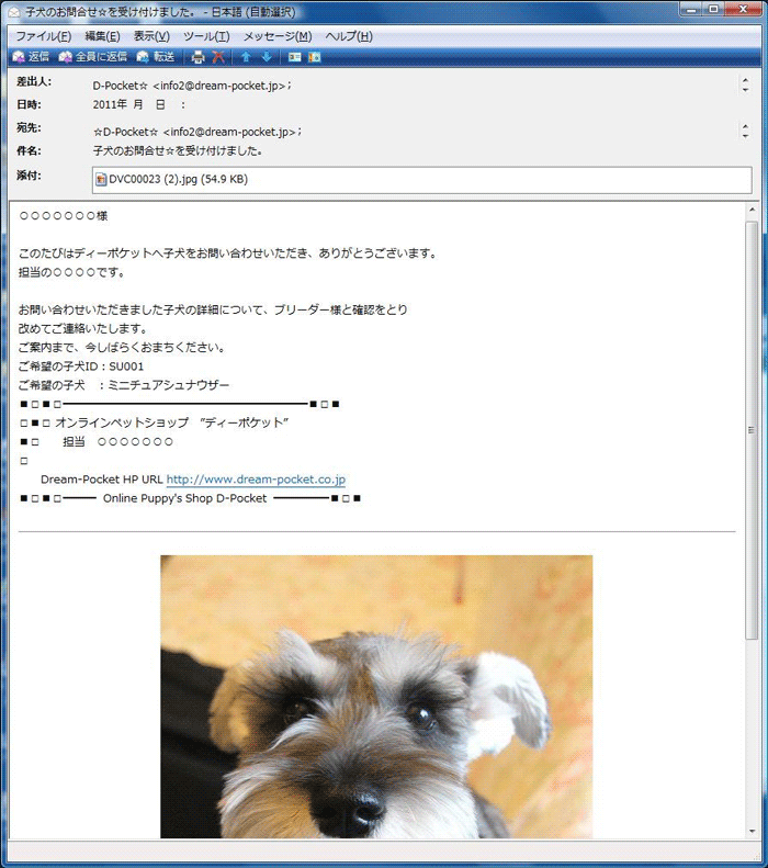 子犬写真