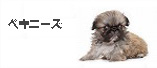 ペキニーズ